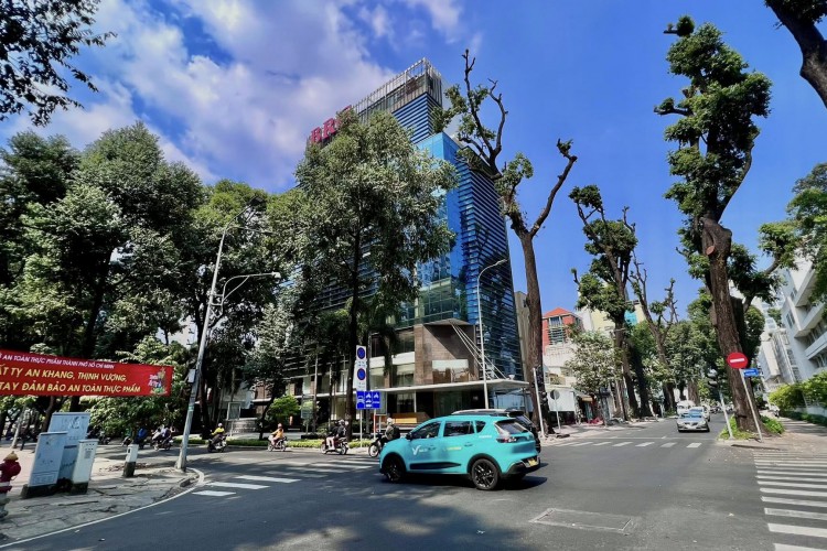 Building Nguyễn Đình Chiểu — hình 9
